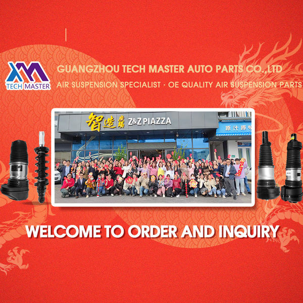 چین Guangzhou Tech Master Auto Parts Co.Ltd 