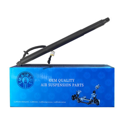 پشت درب عقب 51247318651 برای BMW X6 F16 2015-2019 LH 1 پلاگین