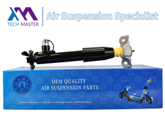 تکنولوژي استاد عقب چپ شوک جذب کننده پشت لنکن MKX F2GZ18125Z