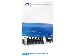 شاکسوار برای نیسان پاتول